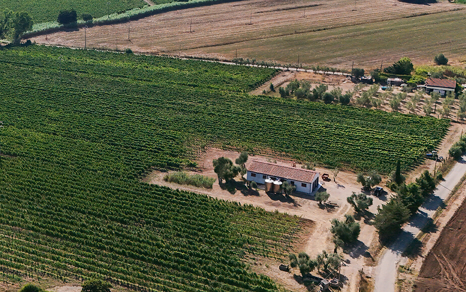 Proprietà vista dall'alto