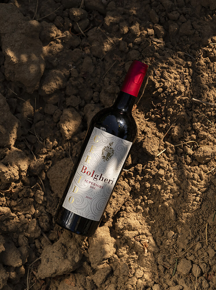 Gerbido blogheri superiore