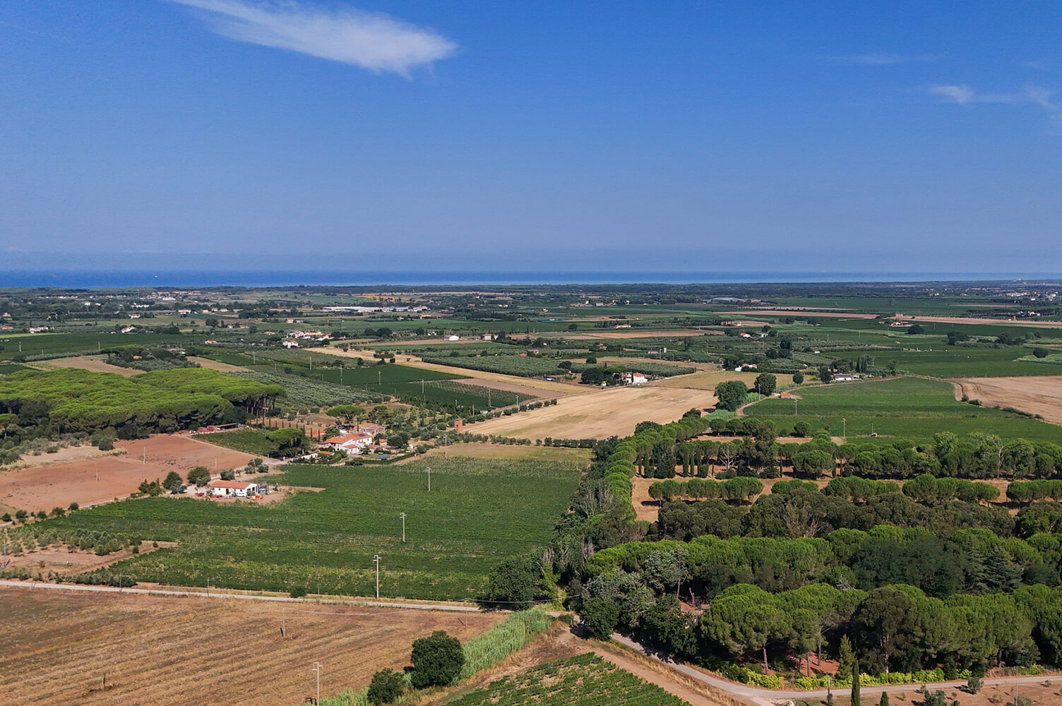 Panora di bolgheri campange